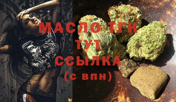 тгк Бородино
