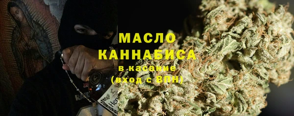 тгк Бородино